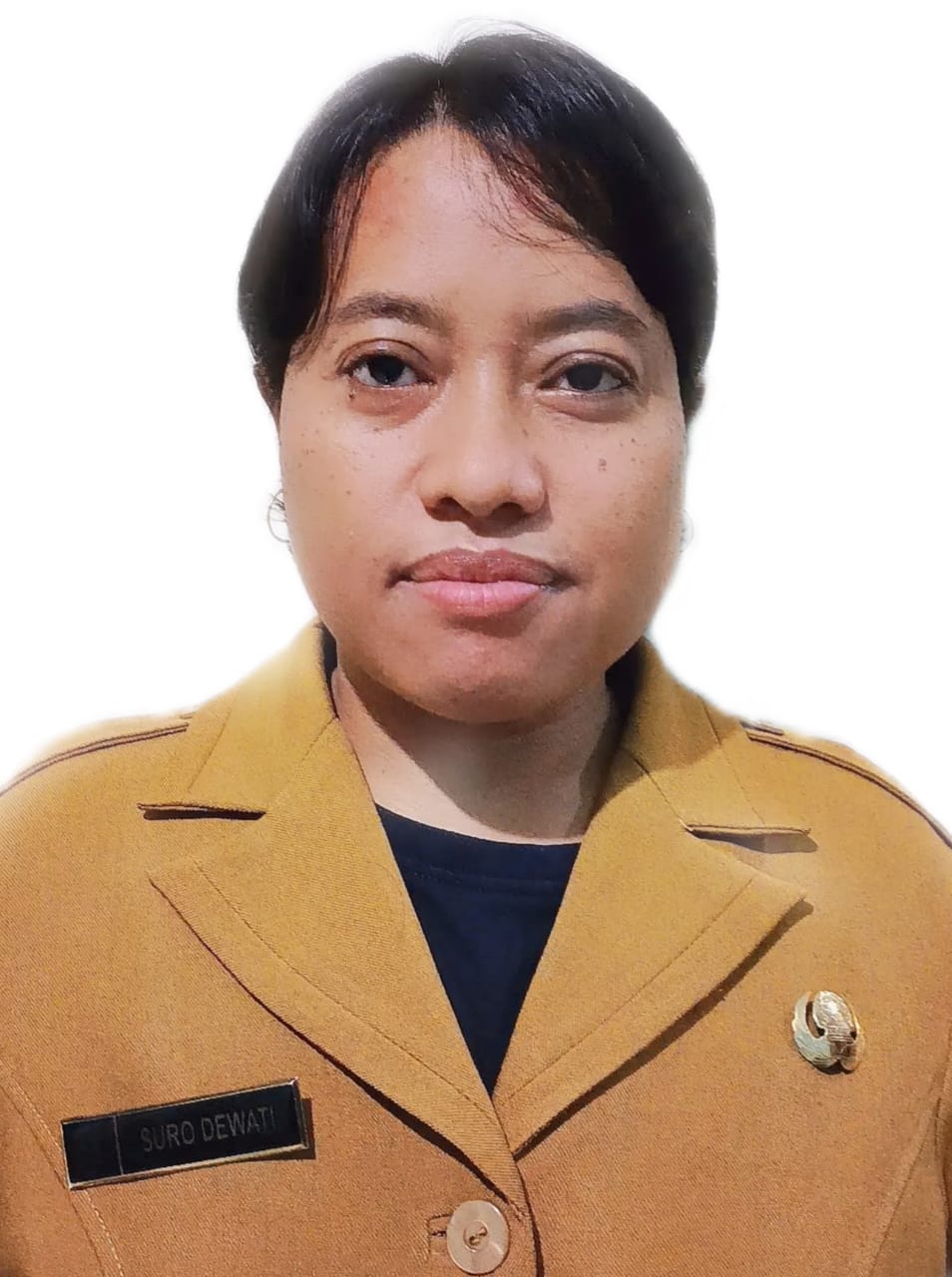 Suro Dewati S.T.